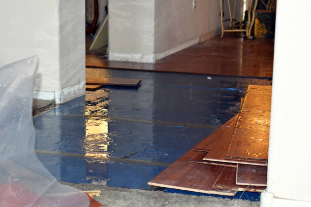 Professional Emergency Water Damage Restoration technician working in Woodruff, AZ